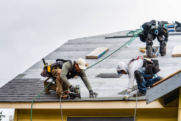 Professional Roofing technician working in Ray, MI